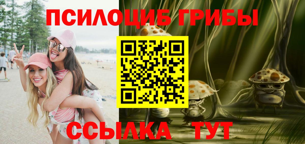 Галлюциногенные грибы Cubensis  купить наркоту  Улан-Удэ  Вход с VPN  Галлюциногенные грибы Magic Shrooms 