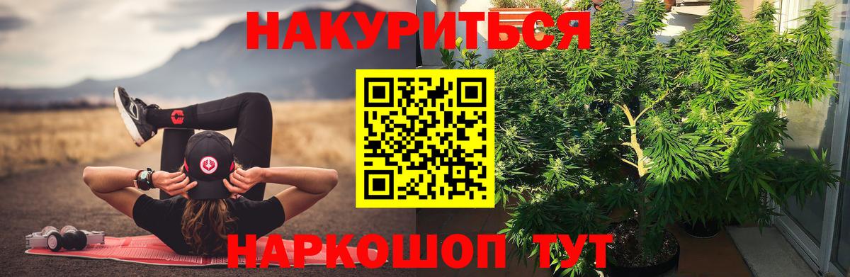 Шишки марихуана план Улан-Удэ